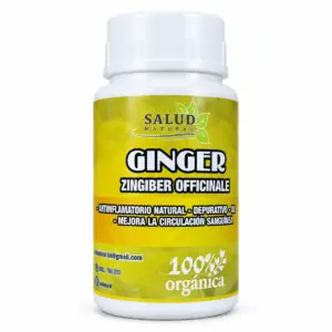 Bio-Ingwer-Kapseln Salud Natural, 60 KAPSELN